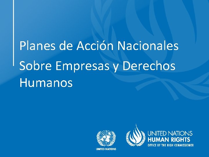 Planes de Acción Nacionales Sobre Empresas y Derechos Humanos 