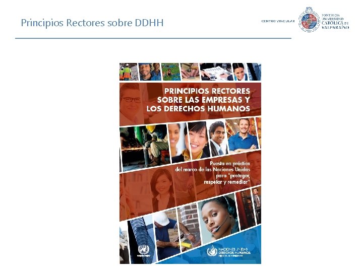 Principios Rectores sobre DDHH 