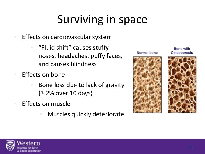 Surviving in space • Effects on cardiovascular system • “Fluid shift” causes stuffy noses,