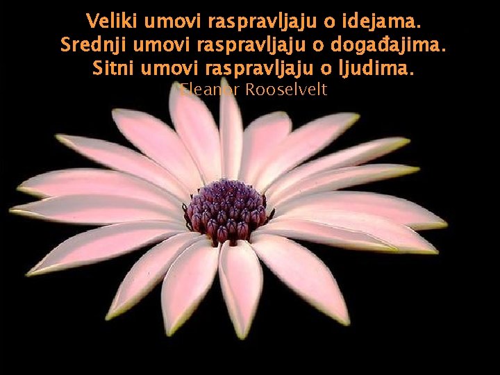 Veliki umovi raspravljaju o idejama. Srednji umovi raspravljaju o događajima. Sitni umovi raspravljaju o
