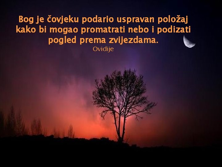 Bog je čovjeku podario uspravan položaj kako bi mogao promatrati nebo i podizati pogled
