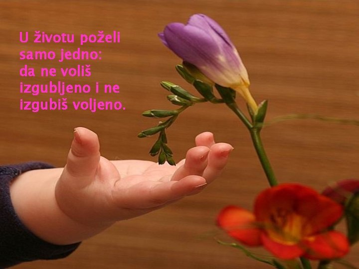 U životu poželi samo jedno: da ne voliš izgubljeno i ne izgubiš voljeno. 