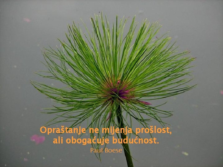 Opraštanje ne mijenja prošlost, ali obogaćuje budućnost. Paul Boese 