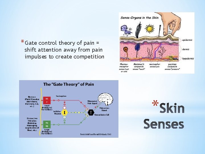 * Gate control theory of pain = shift attention away from pain impulses to