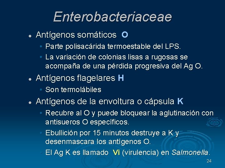 Enterobacteriaceae Antígenos somáticos O • Parte polisacárida termoestable del LPS. • La variación de