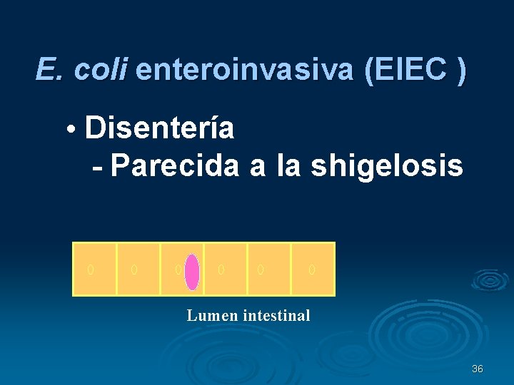 E. coli enteroinvasiva (EIEC ) • Disentería - Parecida a la shigelosis Lumen intestinal