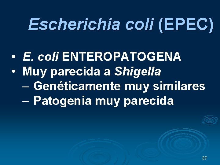 Escherichia coli (EPEC) • E. coli ENTEROPATOGENA • Muy parecida a Shigella – Genéticamente