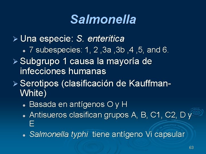 Salmonella Una especie: S. enteritica 7 subespecies: 1, 2 , 3 a , 3