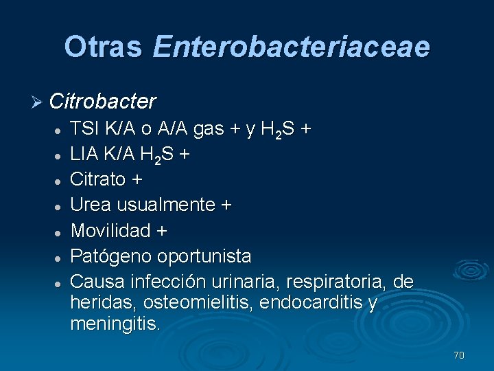 Otras Enterobacteriaceae Citrobacter TSI K/A o A/A gas + y H 2 S +