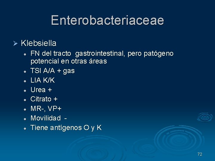 Enterobacteriaceae Klebsiella FN del tracto gastrointestinal, pero patógeno potencial en otras áreas TSI A/A