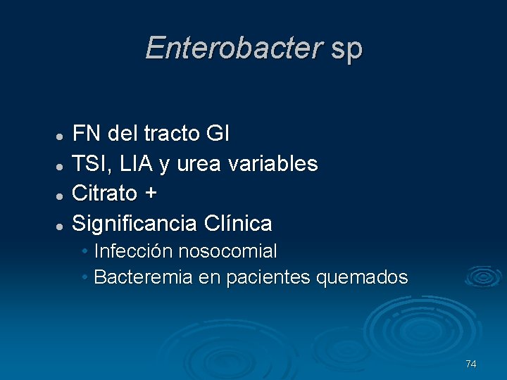 Enterobacter sp FN del tracto GI TSI, LIA y urea variables Citrato + Significancia