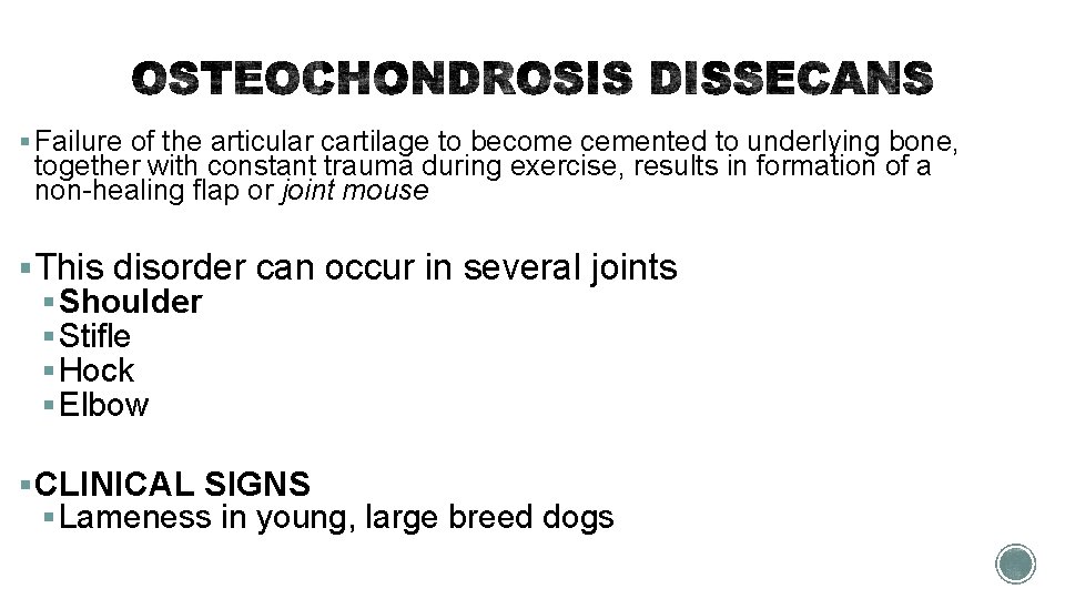 § Failure of the articular cartilage to become cemented to underlying bone, together with