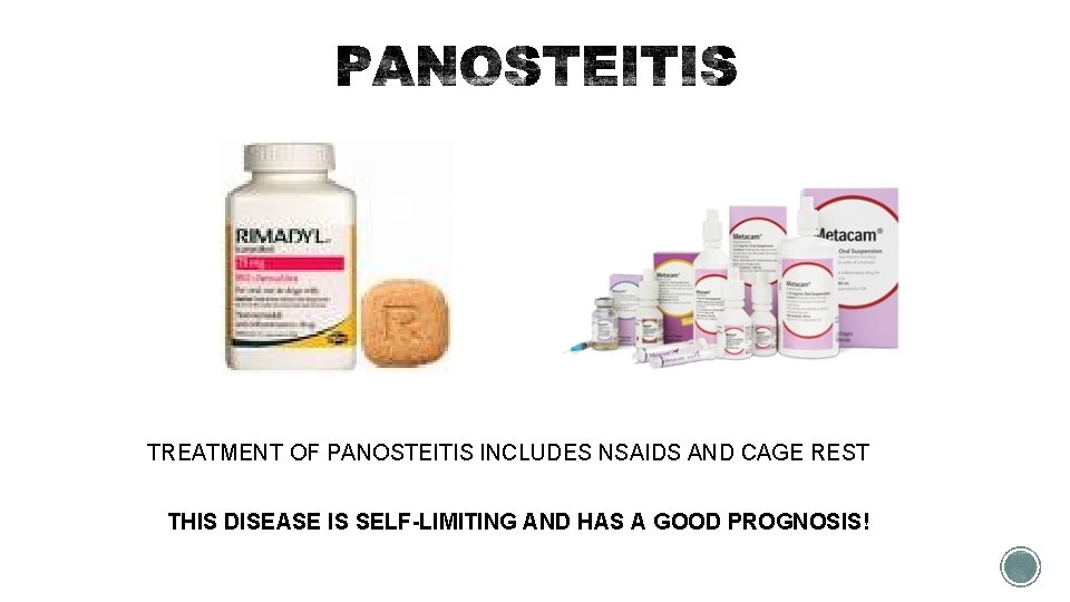 TREATMENT OF PANOSTEITIS INCLUDES NSAIDS AND CAGE REST THIS DISEASE IS SELF-LIMITING AND HAS