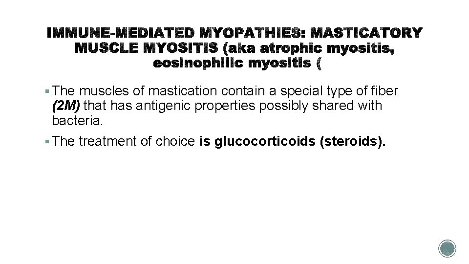 § The muscles of mastication contain a special type of fiber (2 M) that