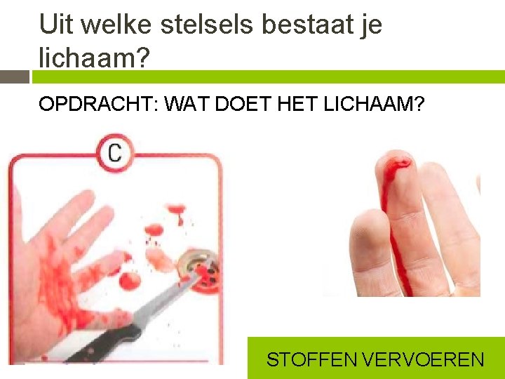 Uit welke stelsels bestaat je lichaam? OPDRACHT: WAT DOET HET LICHAAM? STOFFEN VERVOEREN 