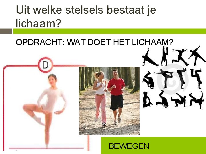 Uit welke stelsels bestaat je lichaam? OPDRACHT: WAT DOET HET LICHAAM? BEWEGEN 