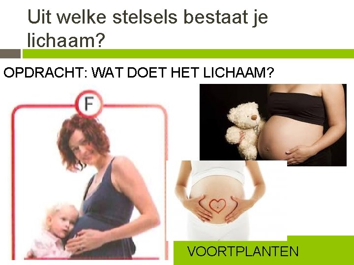 Uit welke stelsels bestaat je lichaam? OPDRACHT: WAT DOET HET LICHAAM? VOORTPLANTEN 