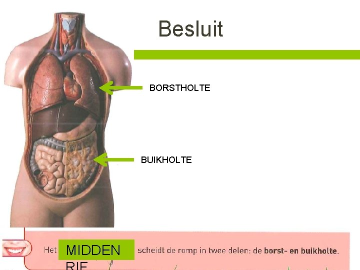 Besluit BORSTHOLTE BUIKHOLTE MIDDEN 