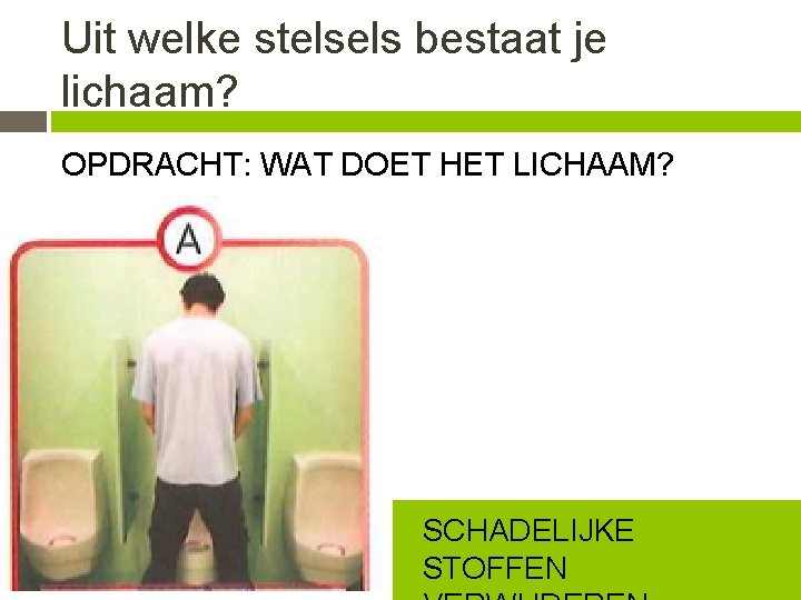 Uit welke stelsels bestaat je lichaam? OPDRACHT: WAT DOET HET LICHAAM? SCHADELIJKE STOFFEN 