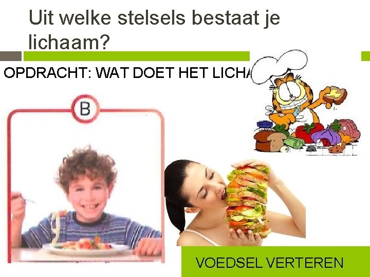 Uit welke stelsels bestaat je lichaam? OPDRACHT: WAT DOET HET LICHAAM? VOEDSEL VERTEREN 