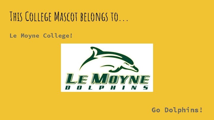 This College Mascot belongs to. . . Le Moyne College! Go Dolphins! 