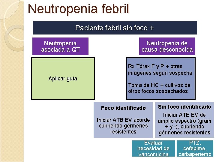 Neutropenia febril Paciente febril sin foco + Neutropenia asociada a QT Aplicar guía Neutropenia