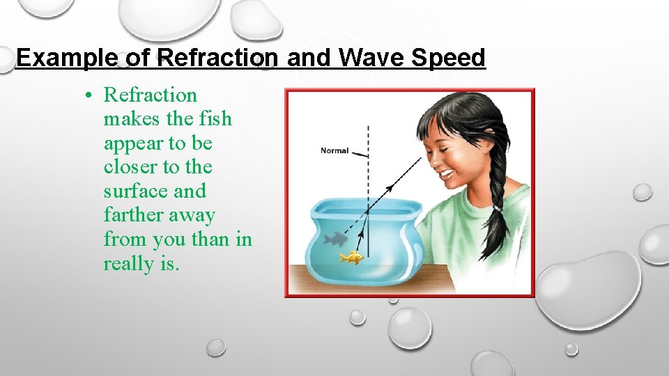 Example of Refraction and Wave Speed • Refraction makes the fish appear to be