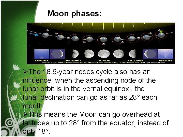Moon phases: ØThe 18. 6 -year nodes cycle also has an influence: when the