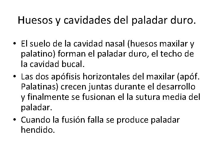 Huesos y cavidades del paladar duro. • El suelo de la cavidad nasal (huesos