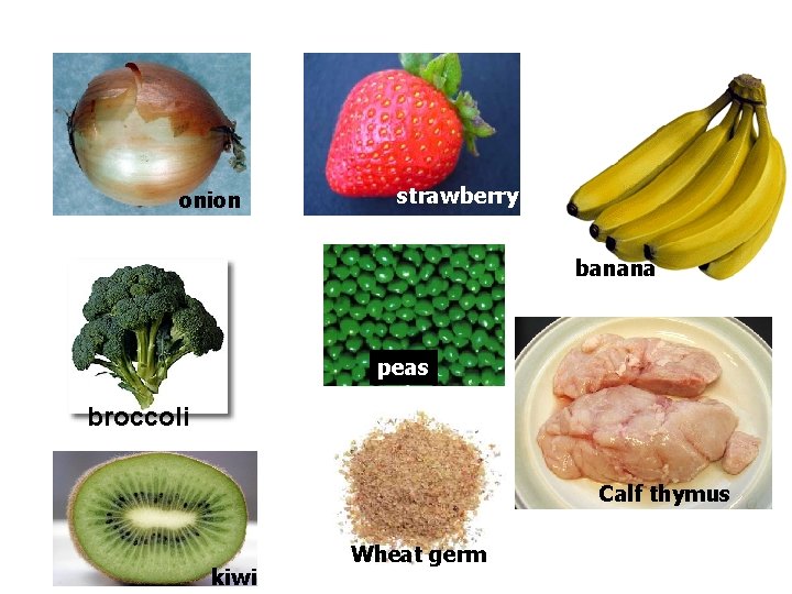 onion strawberry banana peas broccoli Calf thymus Wheat germ University of California Davis Partnership