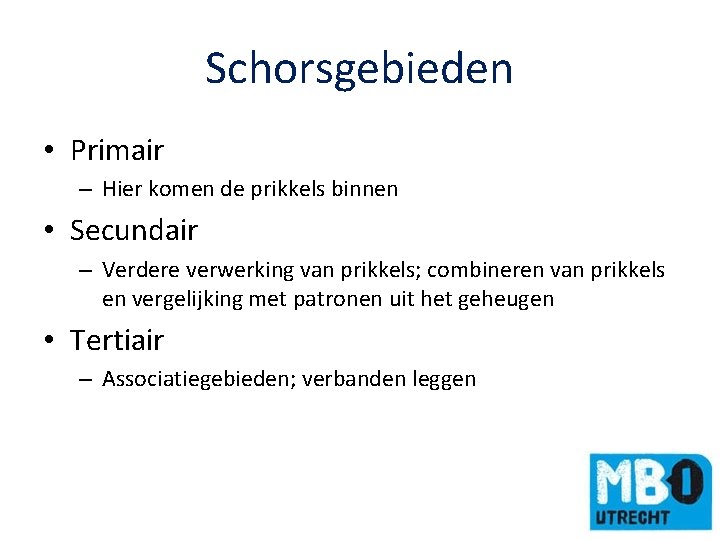 Schorsgebieden • Primair – Hier komen de prikkels binnen • Secundair – Verdere verwerking