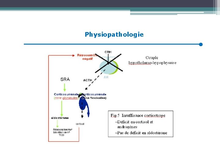 Physiopathologie 