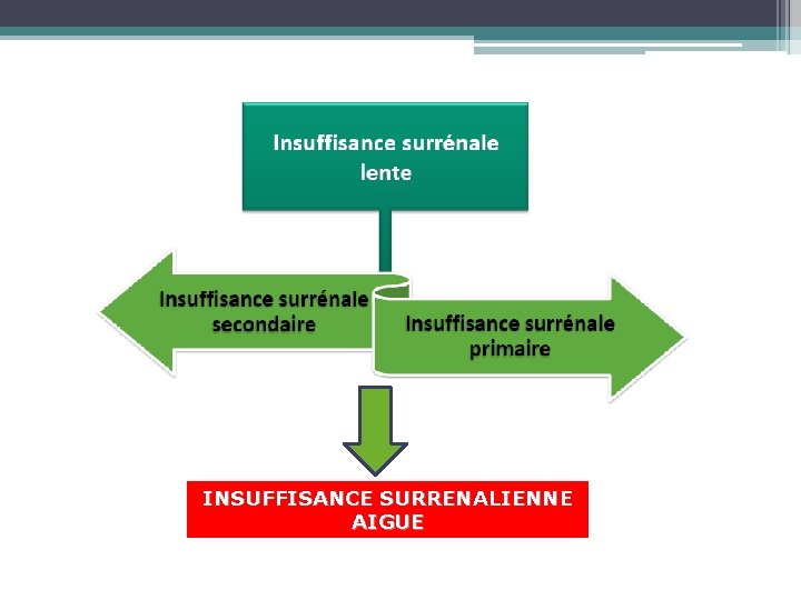 INSUFFISANCE SURRENALIENNE AIGUE 