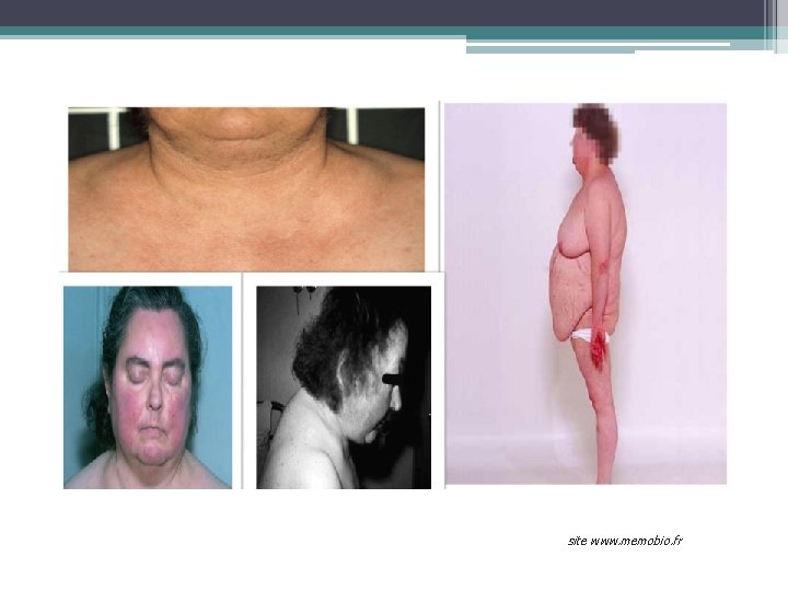 site www. memobio. fr 