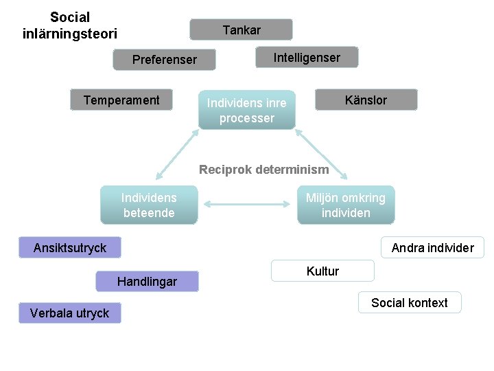 Social inlärningsteori Tankar Intelligenser Preferenser Temperament Känslor Individens inre processer Reciprok determinism Individens beteende