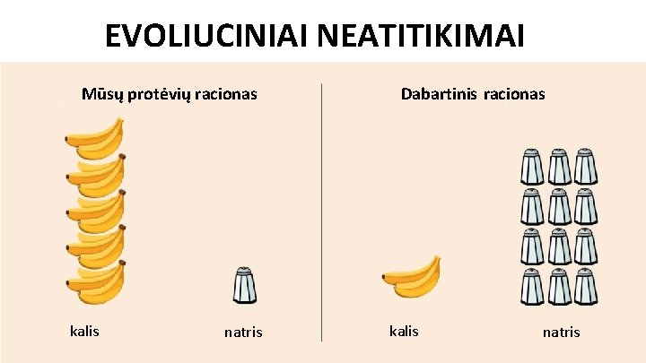 EVOLIUCINIAI NEATITIKIMAI Mūsų protėvių racionas kalis www. coral-club. com natris Dabartinis racionas kalis natris