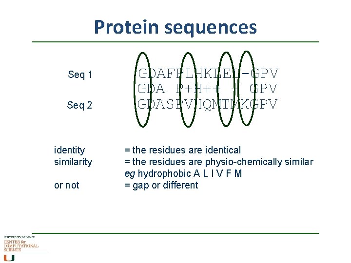 Protein sequences Seq 1 Seq 2 identity similarity or not GDAFPLHKLEL-GPV GDA P+H++ +