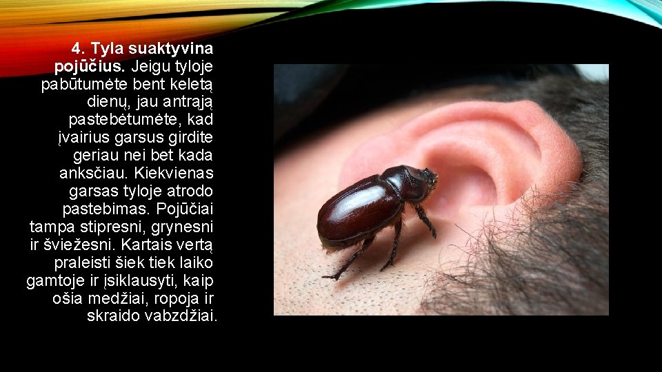 4. Tyla suaktyvina pojūčius. Jeigu tyloje pabūtumėte bent keletą dienų, jau antrąją pastebėtumėte, kad