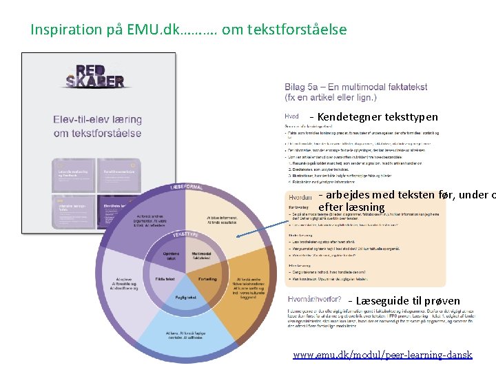 Inspiration på EMU. dk………. om tekstforståelse - Kendetegner teksttypen - arbejdes med teksten før,