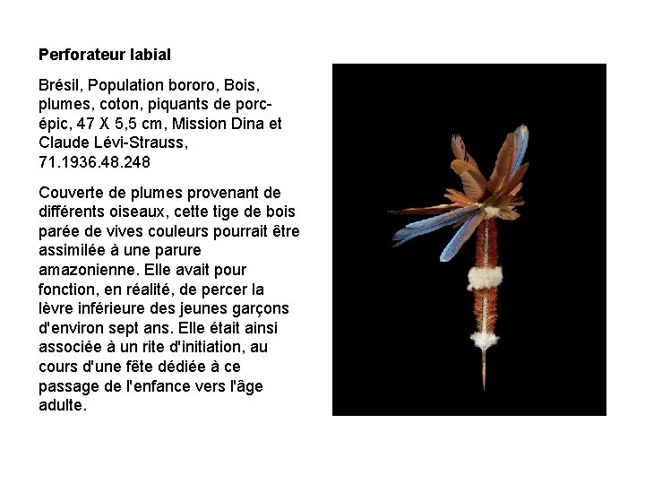 Perforateur labial Brésil, Population bororo, Bois, plumes, coton, piquants de porcépic, 47 X 5,