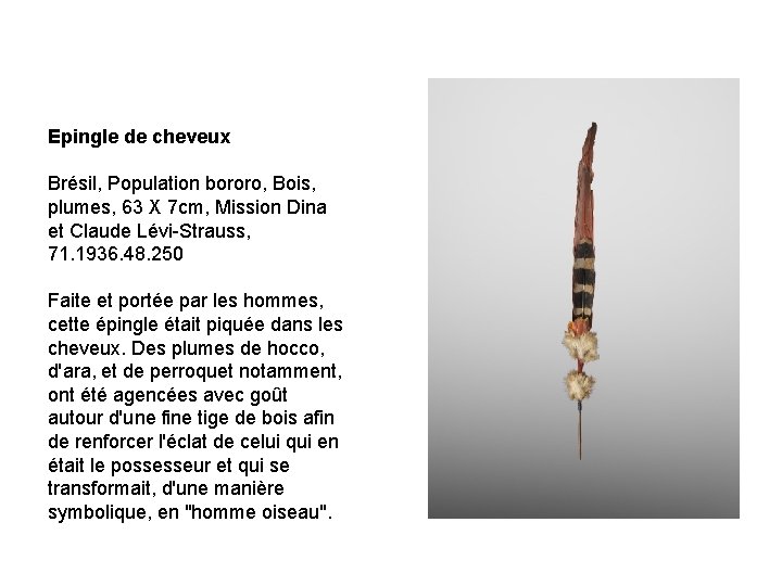 Epingle de cheveux Brésil, Population bororo, Bois, plumes, 63 X 7 cm, Mission Dina