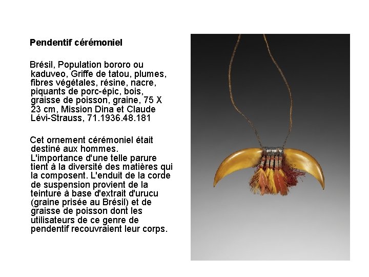 Pendentif cérémoniel Brésil, Population bororo ou kaduveo, Griffe de tatou, plumes, fibres végétales, résine,