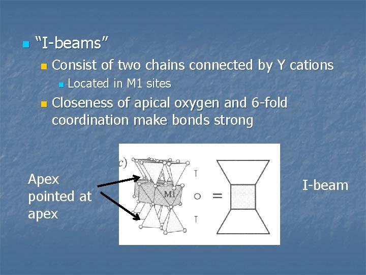 n “I-beams” n Consist of two chains connected by Y cations n n Located