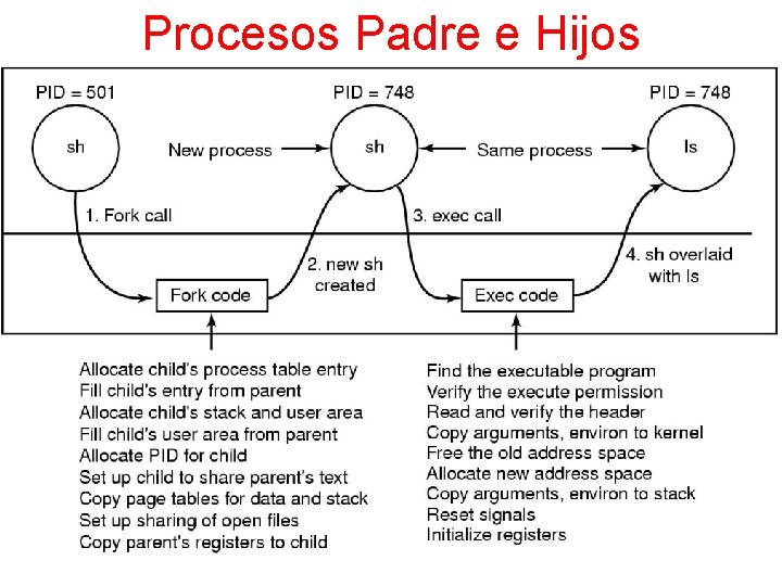 Procesos Padre e Hijos 