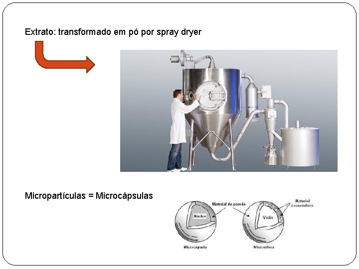 Extrato: transformado em pó por spray dryer Micropartículas = Microcápsulas 