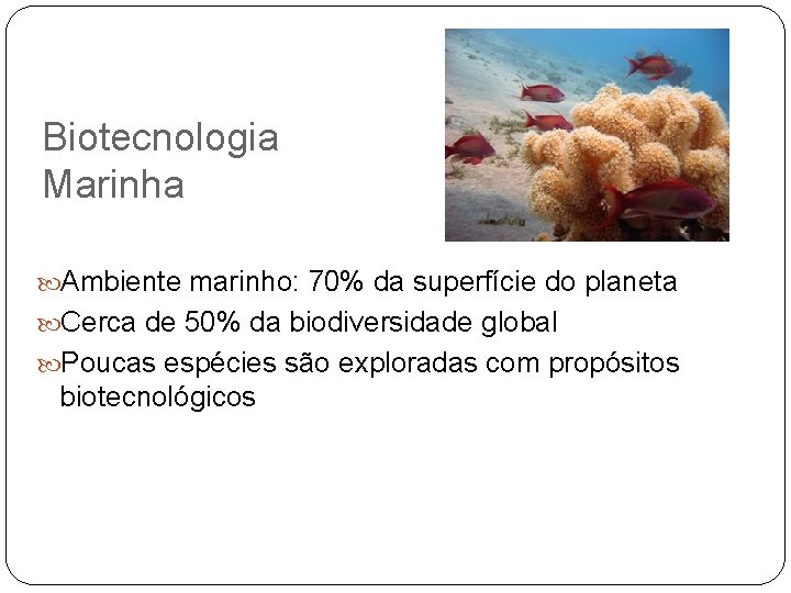 Biotecnologia Marinha Ambiente marinho: 70% da superfície do planeta Cerca de 50% da biodiversidade