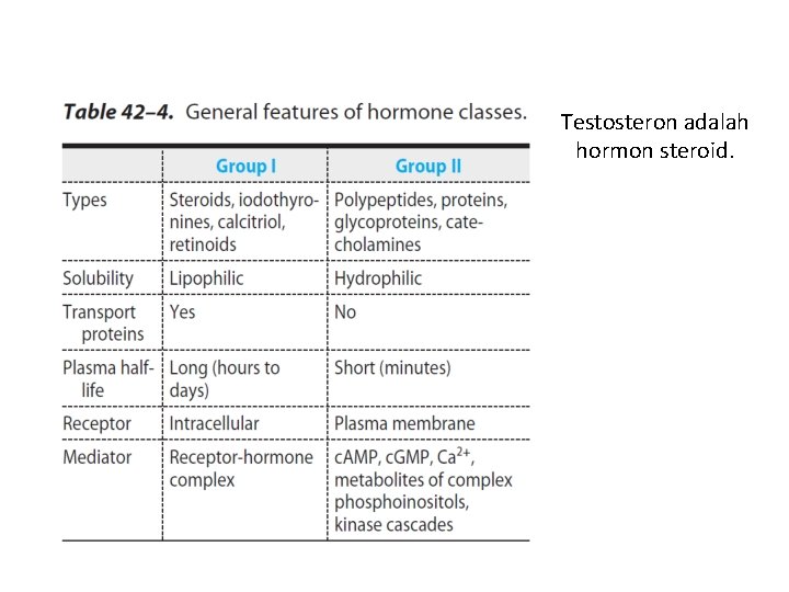 Testosteron adalah hormon steroid. 