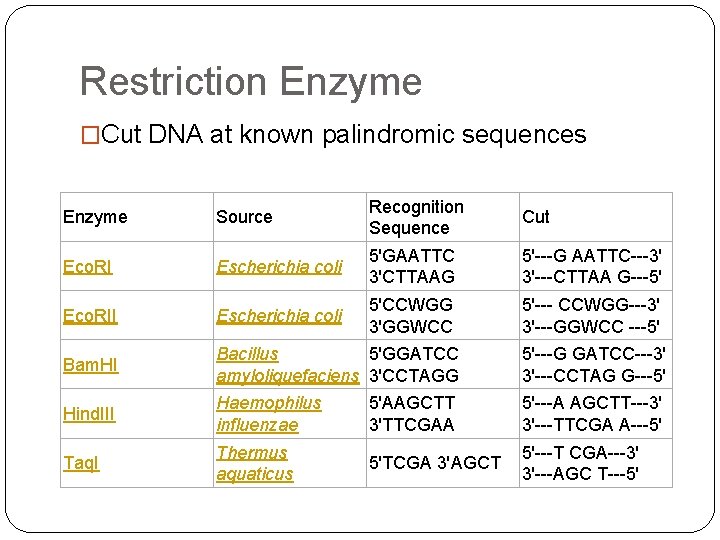 Restriction Enzyme �Cut DNA at known palindromic sequences Enzyme Source Recognition Sequence Cut Eco.