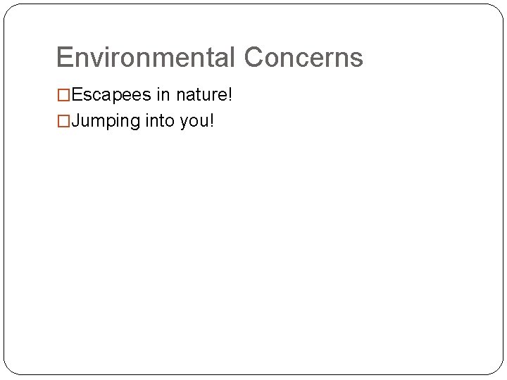 Environmental Concerns �Escapees in nature! �Jumping into you! 