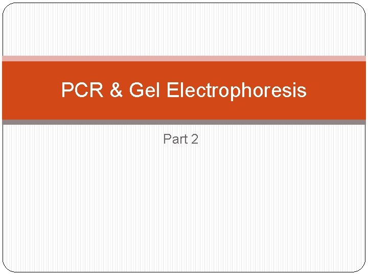 PCR & Gel Electrophoresis Part 2 